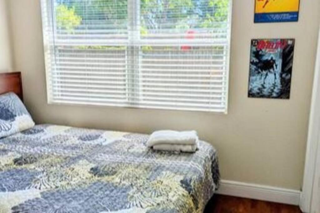 טאמפה Spacious House With Big Backyard In N. Hyde Park / Close To Downtown מראה חיצוני תמונה